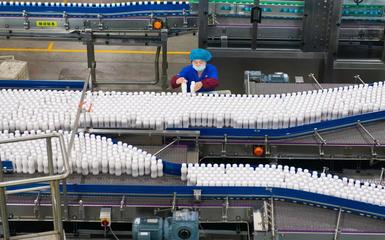 东君乳业(禹城)乳饮品生产线,工作人员正在分拣产品。(记者 贺莹莹 通讯员 白聪聪)